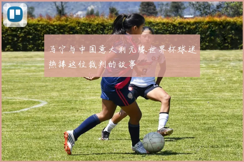 马宁与中国意大利无缘世界杯球迷热捧这位裁判的故事